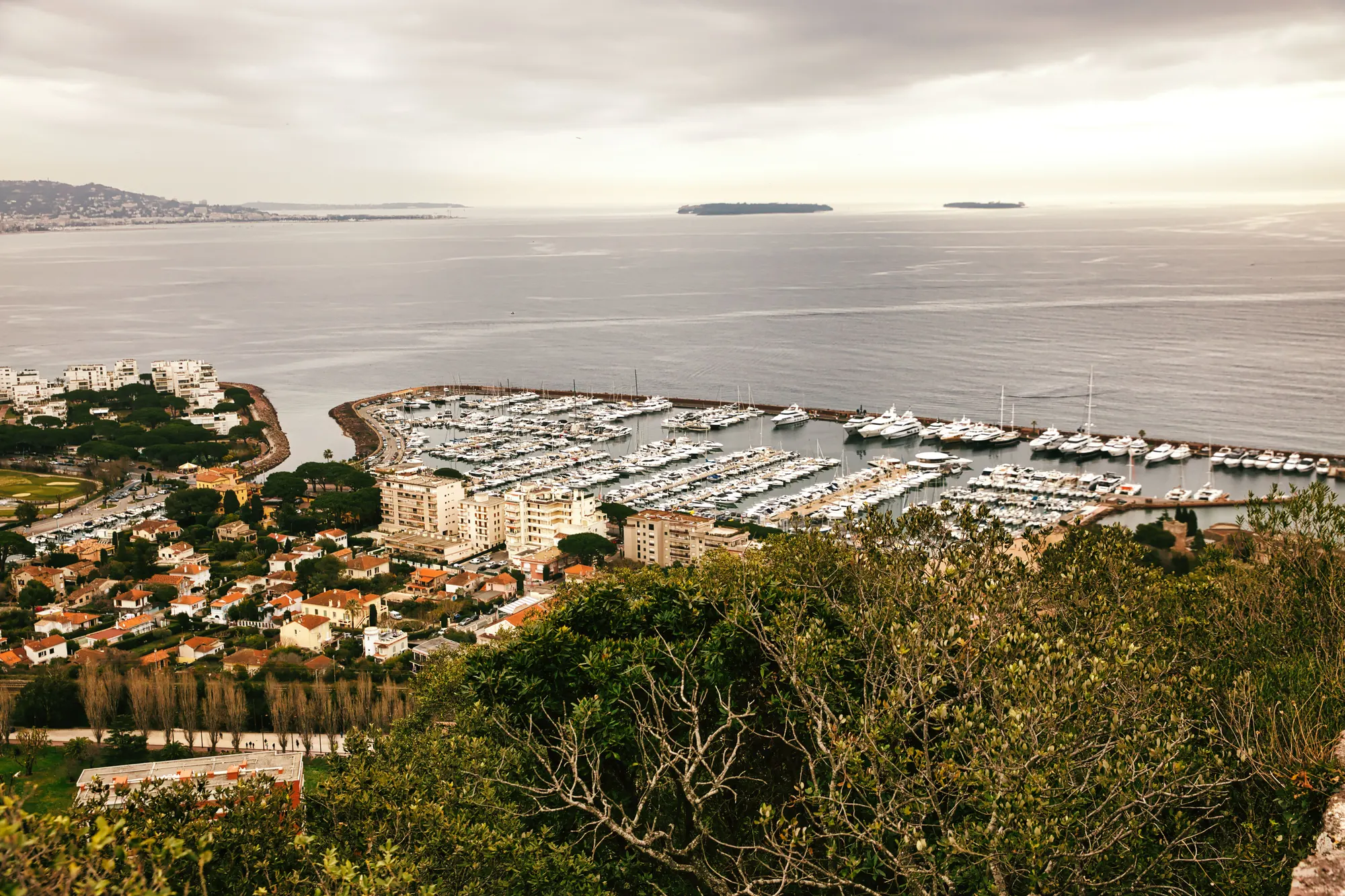 A coastal town and harbour seen from above at golden hour